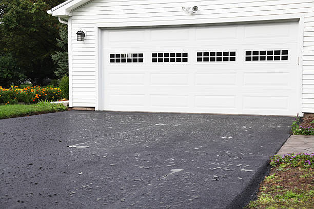Best Basement Cleanout  in Happy Valley, CA